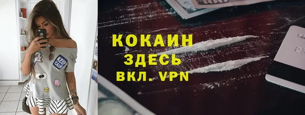 дмт Богородицк