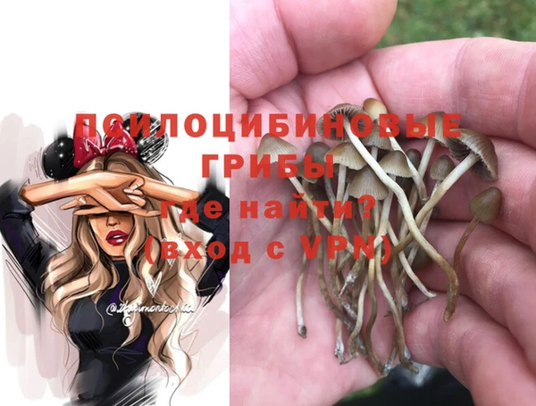 не бодяженный Беломорск