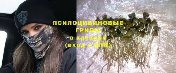 2c-b Богданович